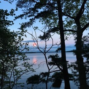 Meet your Posher, Clara